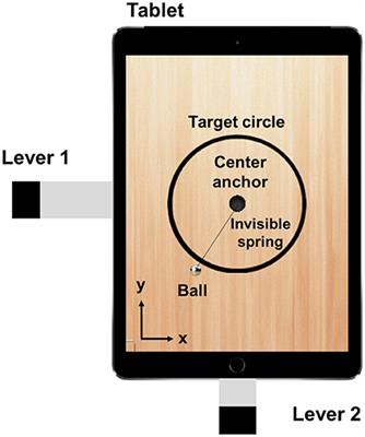 Effect- and Performance-Based Auditory Feedback on Interpersonal Coordination